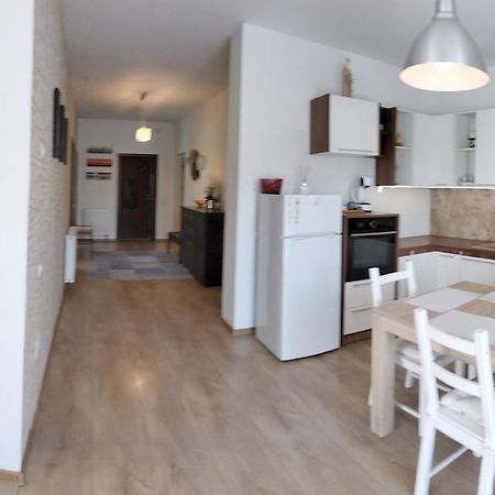 Apartament De Lux Cu Terasa Apartment Тимишоара Екстериор снимка
