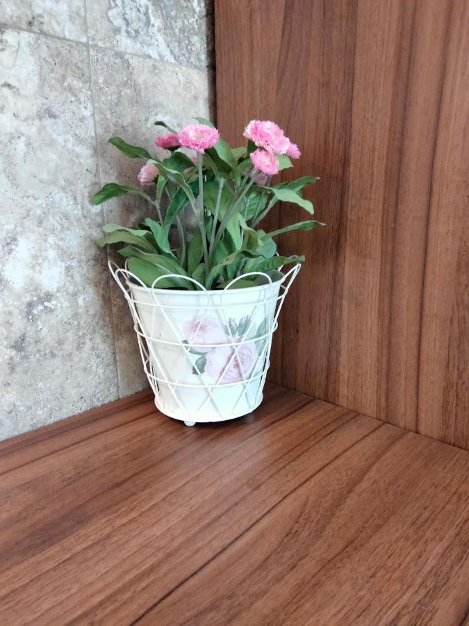 Apartament De Lux Cu Terasa Apartment Тимишоара Екстериор снимка